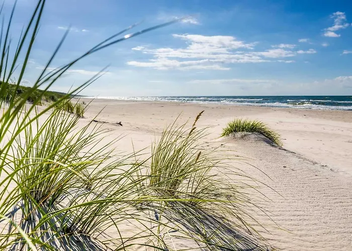 Lazur Park Kotwica Gdansk